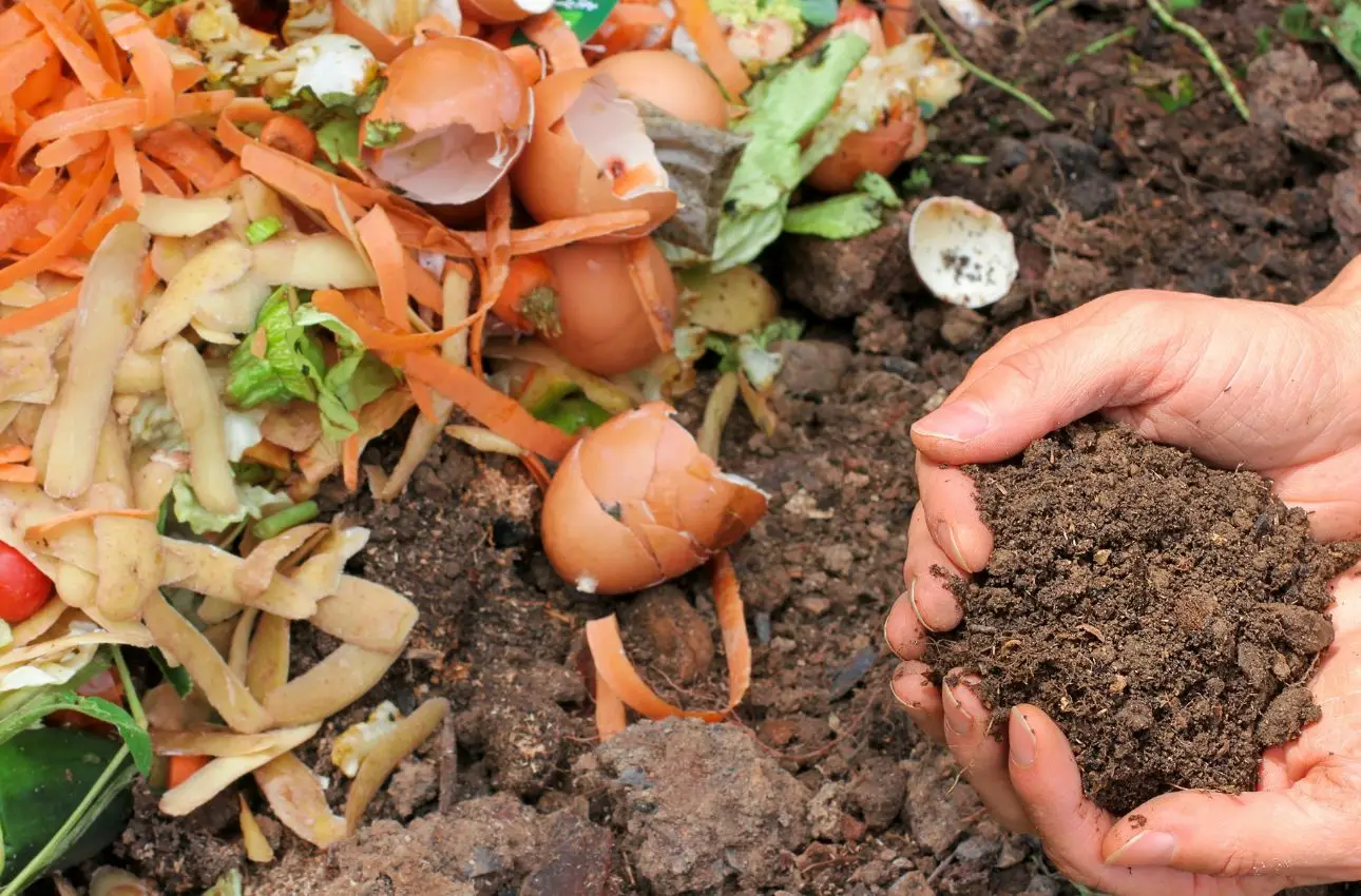 Il lato positivo del compost fatto in casa