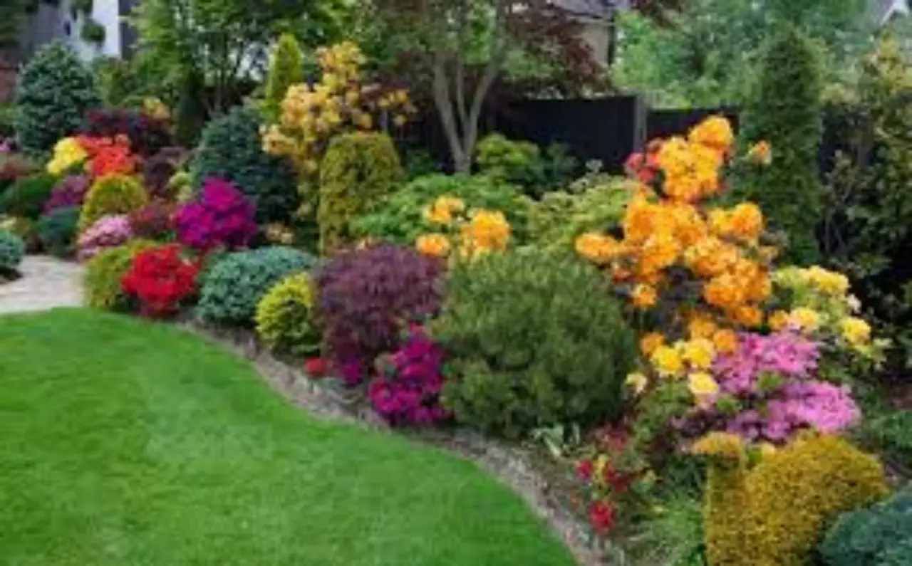 Come si fa a creare un bordo per le aiuole? I materiali e le tecniche