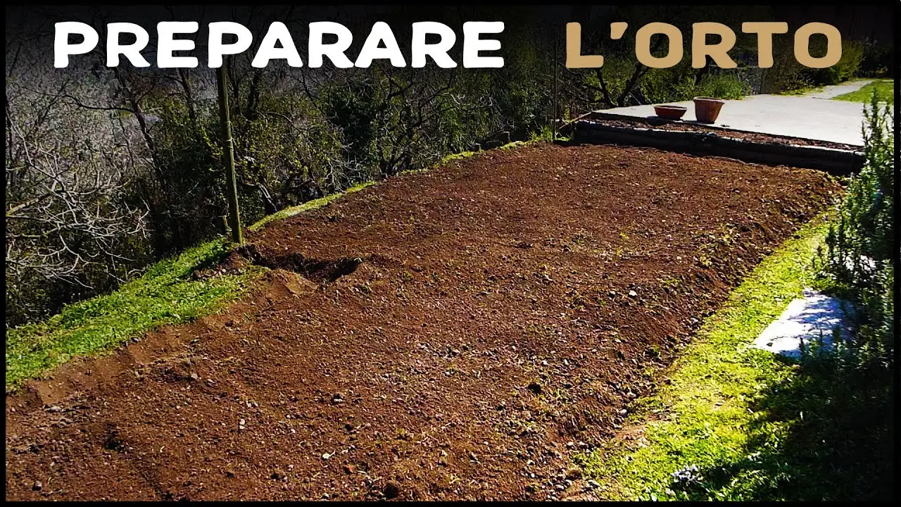 Che cos’è il mulching per l’erba? Il sistema che rivoluziona il tuo giardino